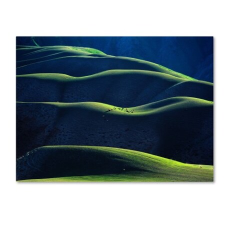 Trademark Fine Art Adam Chen 'Rhythm' Canvas Art, 14x19 1X01457-C1419GG